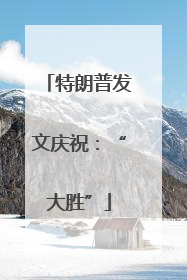 特朗普发文庆祝：“大胜”
