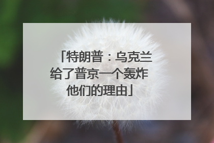 特朗普：乌克兰给了普京一个轰炸他们的理由