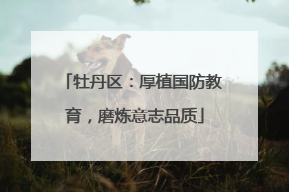 牡丹区：厚植国防教育，磨炼意志品质