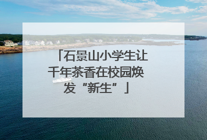 石景山小学生让千年茶香在校园焕发“新生”