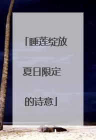 睡莲绽放 夏日限定的诗意