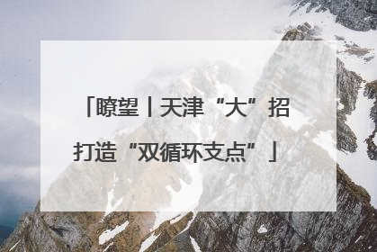 瞭望丨天津“大”招打造“双循环支点”