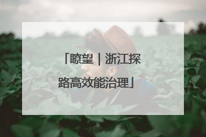 瞭望｜浙江探路高效能治理