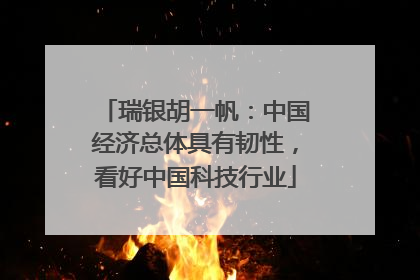 瑞银胡一帆：中国经济总体具有韧性，看好中国科技行业