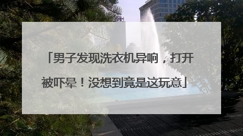 男子发现洗衣机异响，打开被吓晕！没想到竟是这玩意