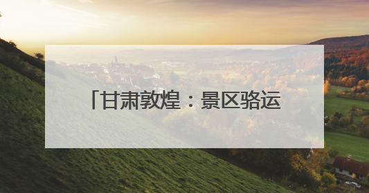 甘肃敦煌：景区骆运服务实行“三班倒”