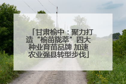 甘肃榆中：聚力打造“榆苗陇萃”四大种业育苗品牌 加速农业强县转型步伐