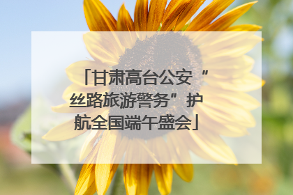 甘肃高台公安“丝路旅游警务”护航全国端午盛会