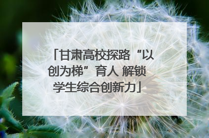 甘肃高校探路“以创为梯”育人 解锁学生综合创新力