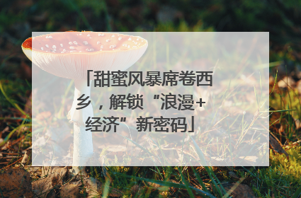 甜蜜风暴席卷西乡，解锁“浪漫+经济”新密码