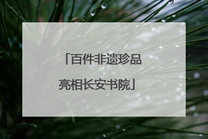 百件非遗珍品亮相长安书院