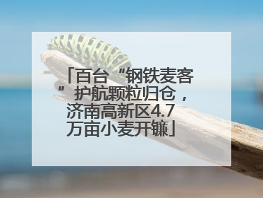 百台“钢铁麦客”护航颗粒归仓，济南高新区4.7万亩小麦开镰