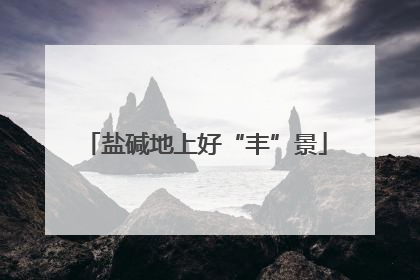 盐碱地上好“丰”景
