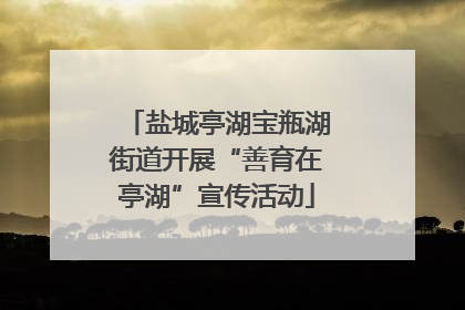 盐城亭湖宝瓶湖街道开展“善育在亭湖”宣传活动