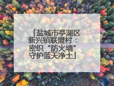 盐城市亭湖区新兴镇联盟村：密织“防火墙”守护蓝天净土