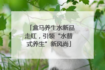 盒马养生水新品走红，引领“水替式养生”新风尚