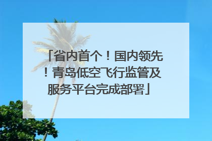 省内首个！国内领先！青岛低空飞行监管及服务平台完成部署
