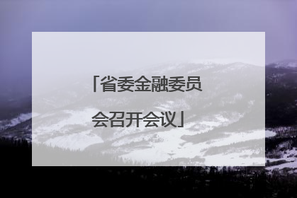 省委金融委员会召开会议
