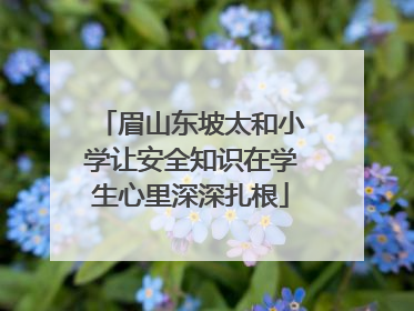 眉山东坡太和小学让安全知识在学生心里深深扎根