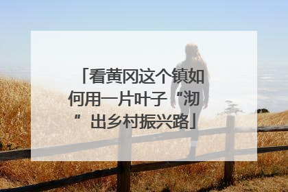 看黄冈这个镇如何用一片叶子“沏”出乡村振兴路