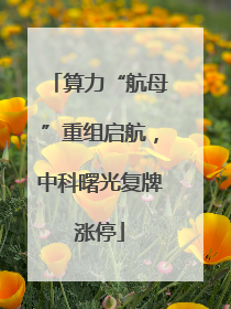 算力“航母”重组启航，中科曙光复牌涨停