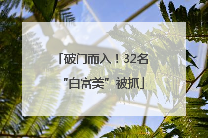 破门而入！32名“白富美”被抓