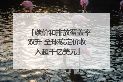 碳价和排放覆盖率双升 全球碳定价收入超千亿美元