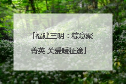 福建三明：粽意聚菁英 关爱暖征途