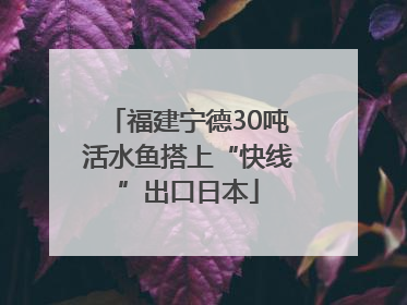 福建宁德30吨活水鱼搭上“快线”出口日本