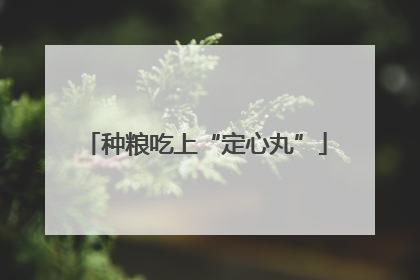 种粮吃上“定心丸”
