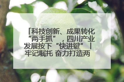科技创新、成果转化“两手抓”，四川产业发展按下“快进键”丨牢记嘱托 奋力打造两高地两基地一屏障