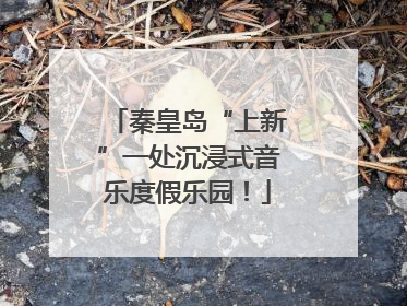 秦皇岛“上新”一处沉浸式音乐度假乐园！