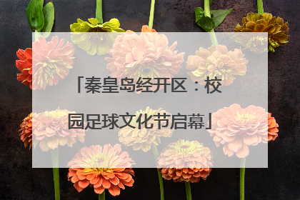 秦皇岛经开区：校园足球文化节启幕