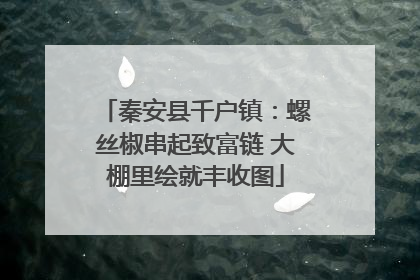 秦安县千户镇：螺丝椒串起致富链 大棚里绘就丰收图