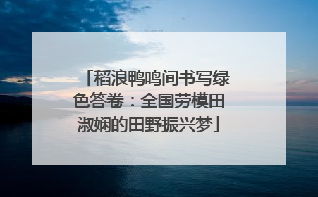稻浪鸭鸣间书写绿色答卷：全国劳模田淑娴的田野振兴梦