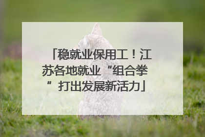 稳就业保用工！江苏各地就业“组合拳”打出发展新活力