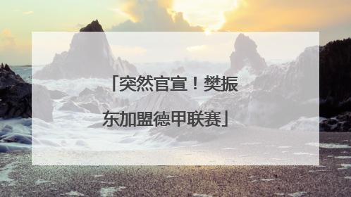 突然官宣！樊振东加盟德甲联赛
