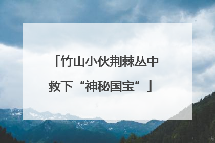 竹山小伙荆棘丛中救下“神秘国宝”