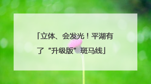 立体、会发光！平湖有了“升级版”斑马线