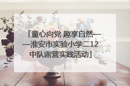 童心向党 趣享自然——淮安市实验小学二12中队露营实践活动