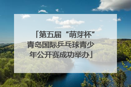 第五届“萌芽杯”青岛国际乒乓球青少年公开赛成功举办