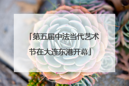 第五届中法当代艺术节在大连东港开幕