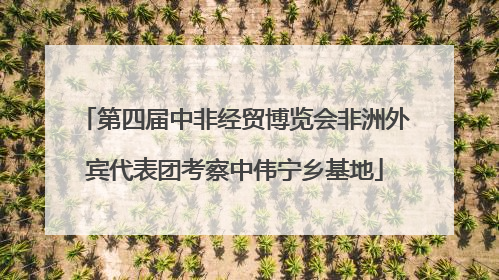 第四届中非经贸博览会非洲外宾代表团考察中伟宁乡基地