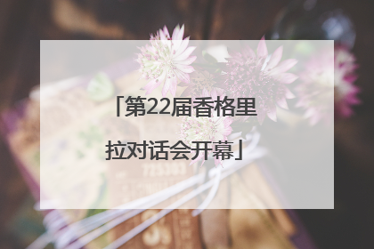第22届香格里拉对话会开幕