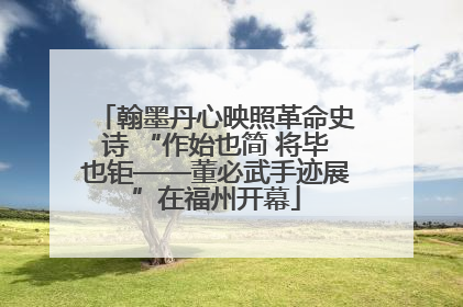 翰墨丹心映照革命史诗 “作始也简 将毕也钜——董必武手迹展”在福州开幕