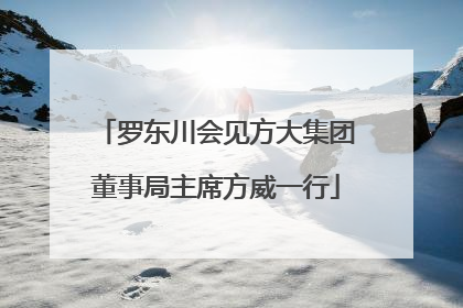 罗东川会见方大集团董事局主席方威一行