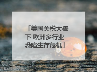 美国关税大棒下 欧洲多行业恐陷生存危机