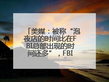 美媒：被称“泡夜店的时间比在FBI总部出现的时间还多”，FBI局长提起诉讼