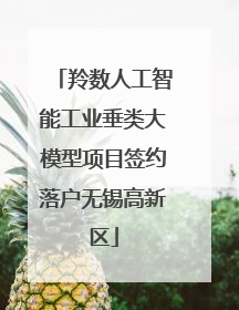 羚数人工智能工业垂类大模型项目签约落户无锡高新区
