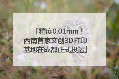 精度0.01mm！西南首家文创3D打印基地在成都正式投运